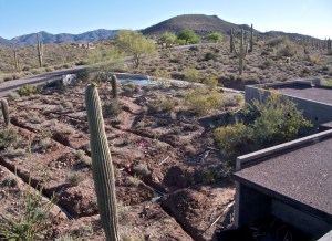 Photograph by Martha M. Bills