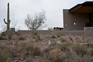 Photograph by Martha M. Bills