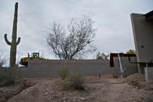 Photograph by Martha M. Bills