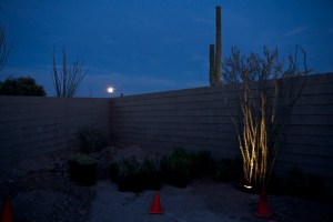 Photograph by Martha M. Bills