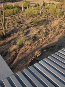 Photograph by Martha M. Bills