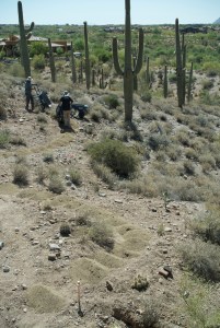 Photograph by Martha M. Bills