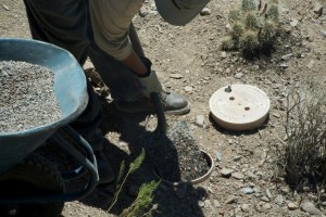 Photograph by Martha M. Bills