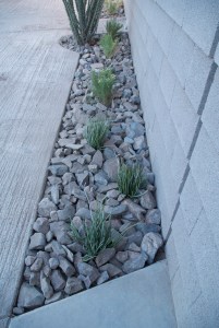 Photograph by Martha M. Bills