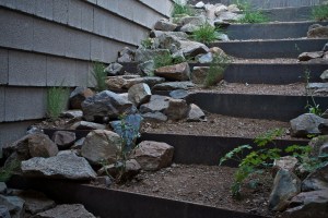 Photograph by Martha M. Bills