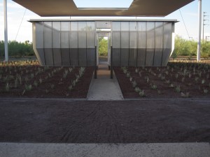 Photograph by David H. Bills