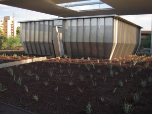 Photograph by David H. Bills