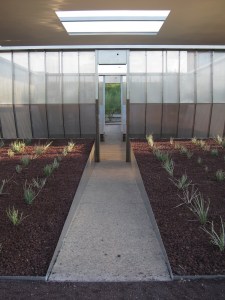 Photograph by David H. Bills