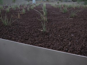 Photograph by David H. Bills