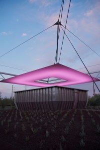 Photograph by Martha M. Bills