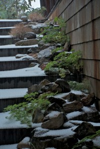 Photograph by Martha M. Bills