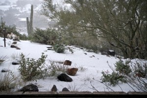 Photograph by Martha M. Bills