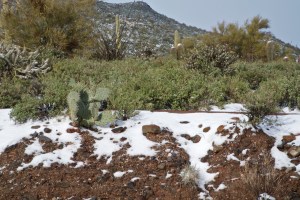 Photograph by Martha M. Bills