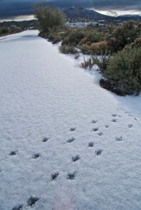 Photograph by Martha M. Bills