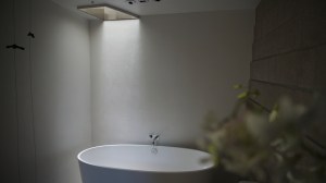 Photograph by Martha M. Bills