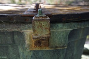 Photograph by Martha M. Bills