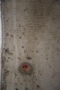 Photograph by Martha M. Bills