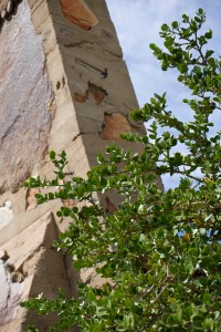 Photograph by Martha M. Bills