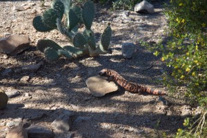 Photograph by Martha M. Bills