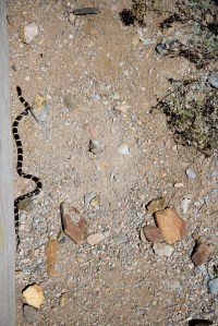 Photograph by Martha M. Bills