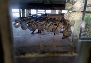 Photograph by David H. Bills