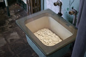 Photograph by David H. Bills