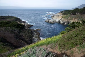 Photograph by Martha M. Bills