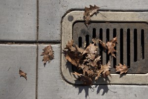 Photograph by Martha M. Bills