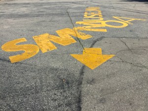 Photograph by Martha M. Bills