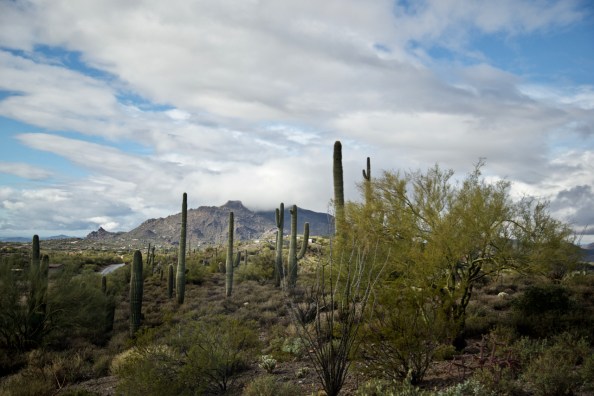 Photograph by Martha M. Bills