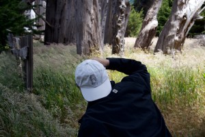 Photograph by Martha M. Bills