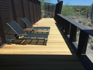 Photograph by David H. Bills