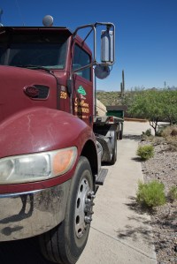 Photograph by Martha M. Bills