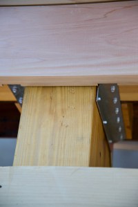 Photograph by Martha M. Bills