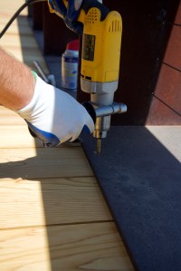 Photograph by Martha M. Bills