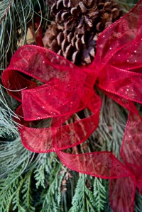 Photograph by Martha M. Bills