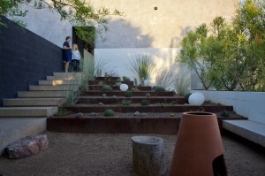 Photograph by David H. Bills