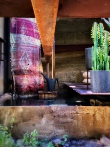 Photograph by Martha M. Bills