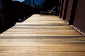 Photograph by David H. Bills