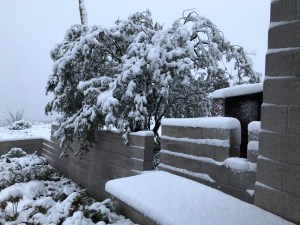 Photograph by Martha M. Bills