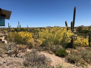 Photograph by Martha M. Bills