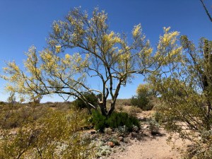 Photograph by Martha M. Bills