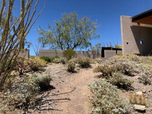 Photograph by Martha M. Bills