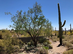 Photograph by Martha M. Bills