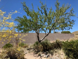 Photograph by Martha M. Bills