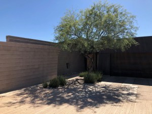 Photograph by Martha M. Bills