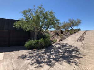 Photograph by Martha M. Bills