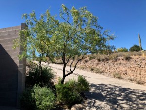 Photograph by Martha M. Bills