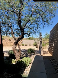 Photograph by Martha M. Bills