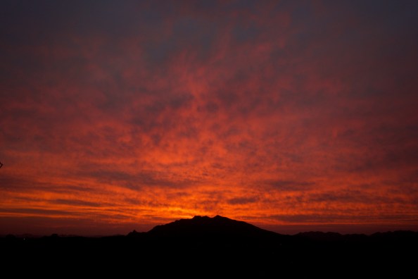 Photograph by Martha M. Bills